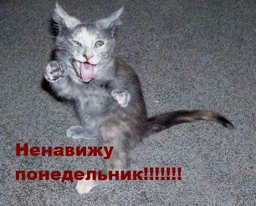 Наталья Базова