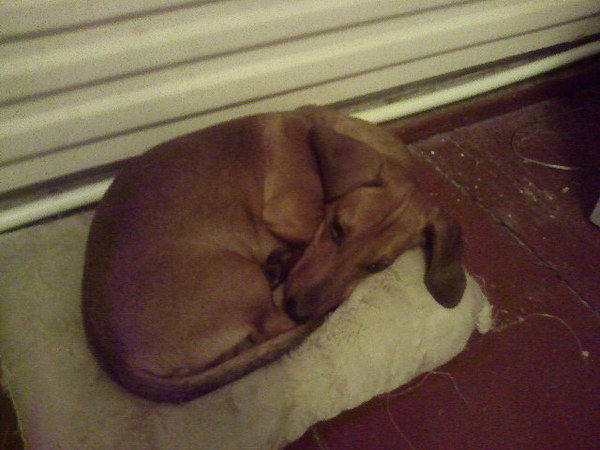 Александр Хотелев