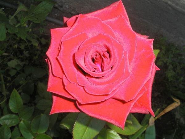 Екатерина Иванова