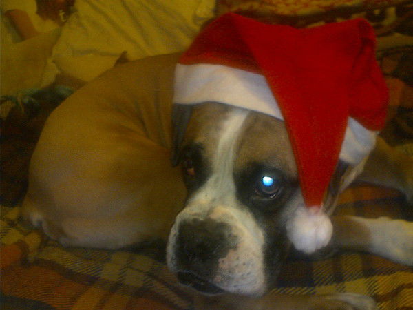 Андрей Карамшук