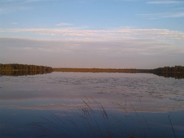 Владимир Криворот