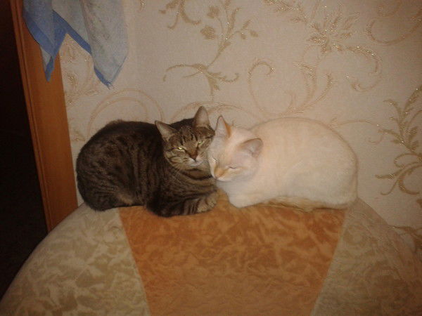 Елена Гранова