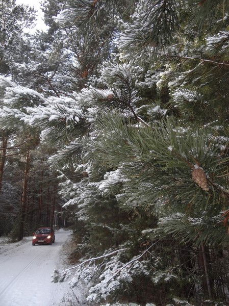 Екатерина Водолеева