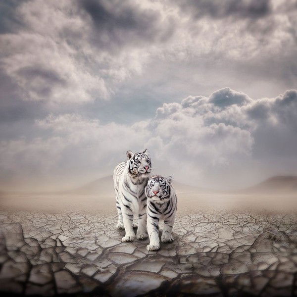 Елена Моругова