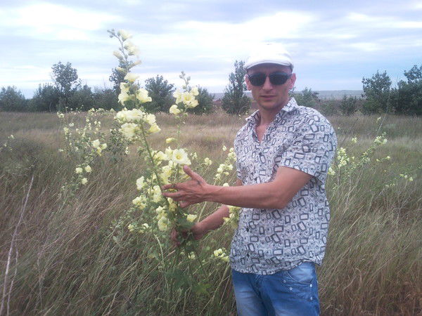 Игорь Стратулат