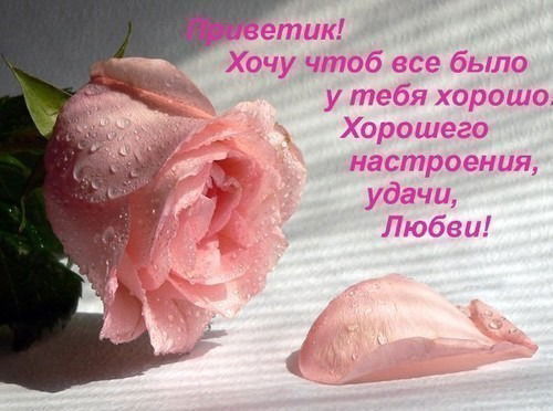 Эльмира Жакыпбекова (Камарова)