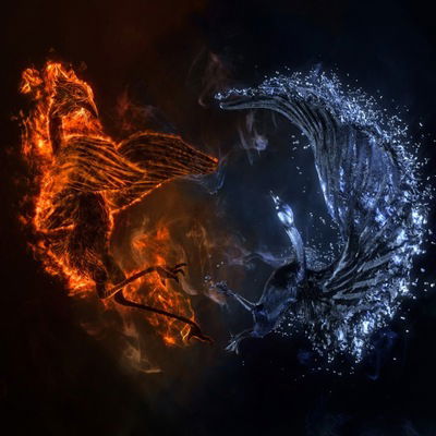 Кирилл Синягин