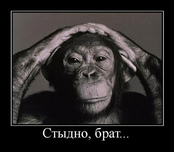 В Чём Правда Брат ?