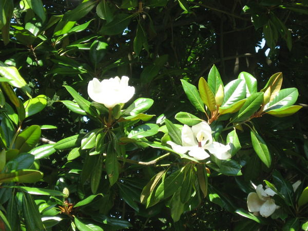 Ольга Митина