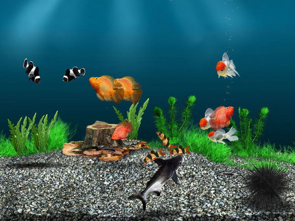 Юрий Пирогов