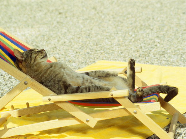 Юлия Кузина