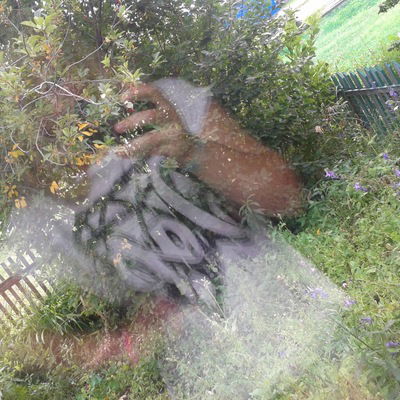 Кристина Авдеева