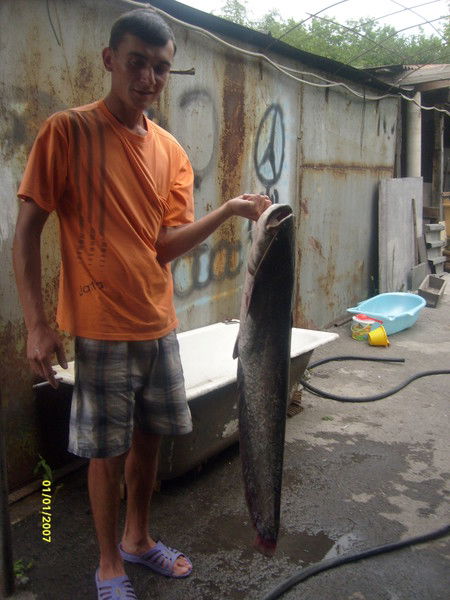 Керченко Сергей