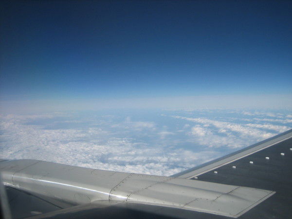 Виталий Морозов