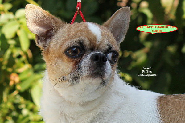 Наталья Пискарева