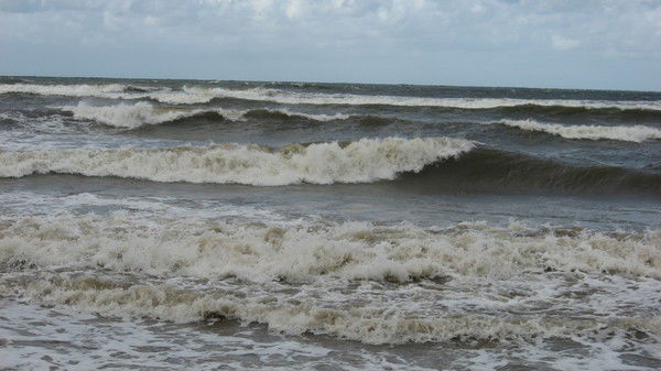 Наталья Чучалина