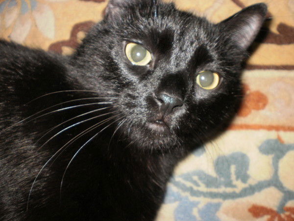 Александр Витухин