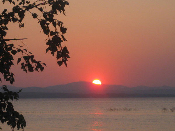 Ольга Биюшкина