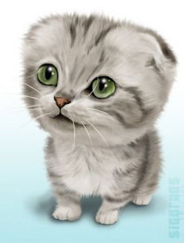 Дискоман Шизик