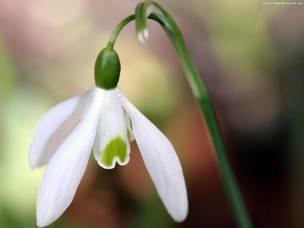 Татьяна Татьяна