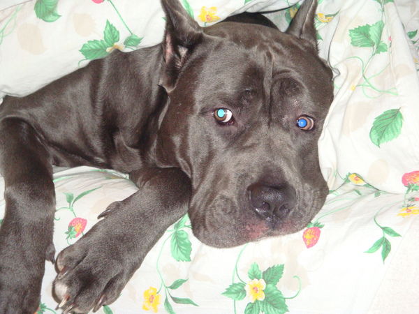 Джюли Uuuuuuuuuu