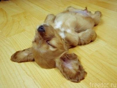 Екатерина Игнатова