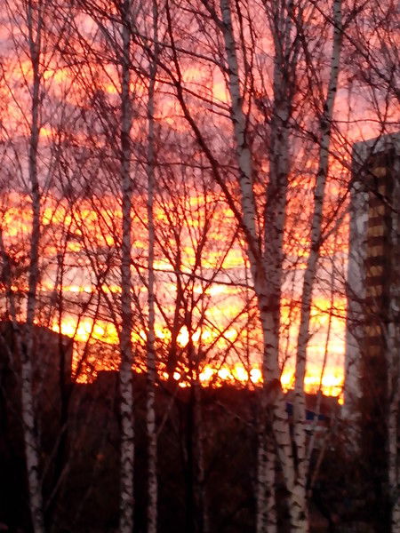 Светлана Жук