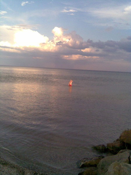 Наталья Гришко