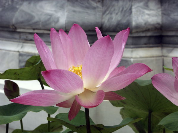 Айжан Айтжанова