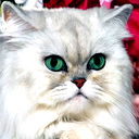 Харченко Юрий