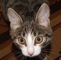 Александр Устюгов