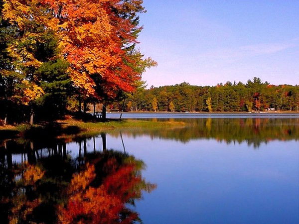 Татьяна Судакова