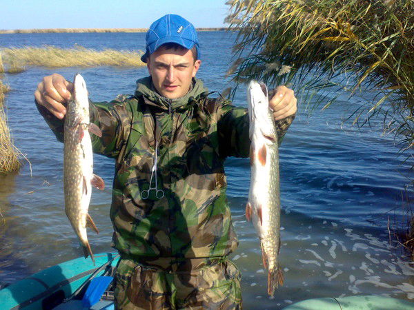 Виталий Дырив