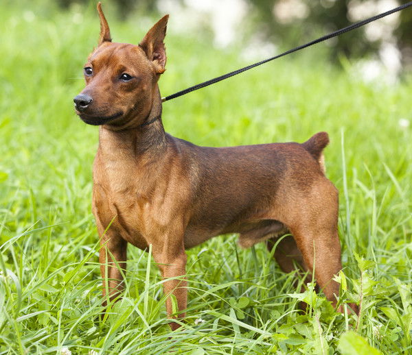 Неизвестно Неизвестно