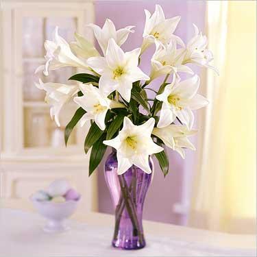 Бинлар Губе