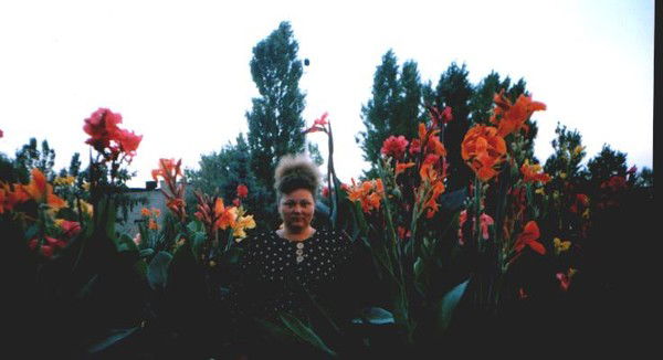 Елена Борисова