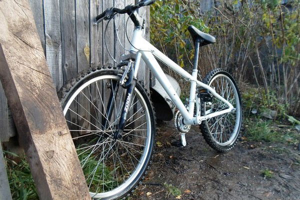 Андрей Зайцев