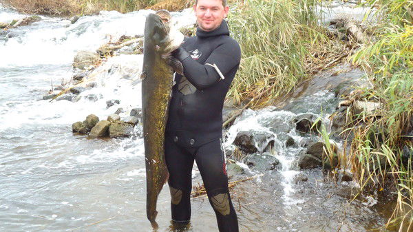 Петр Пархоменко