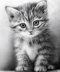 Даниил Гончаренко