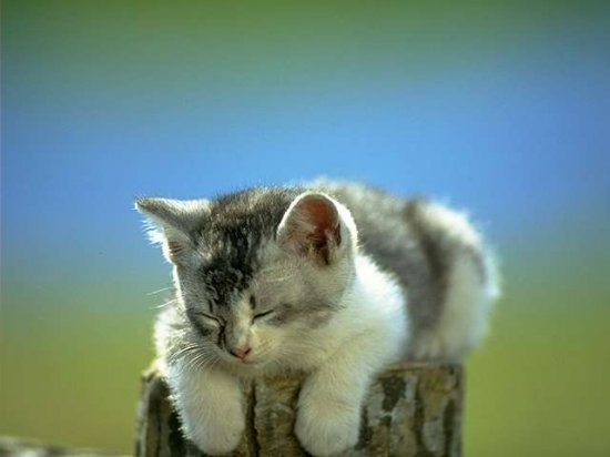 Настя Селеверстова