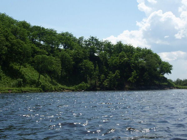 Антон Кустов