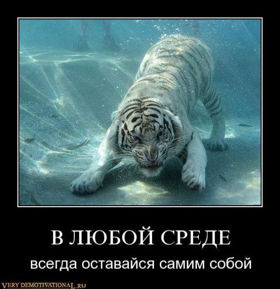 Виктор Мезенин