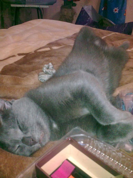 Наталья Матрусенко