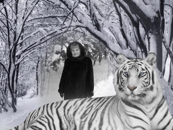 Людмила Чижик