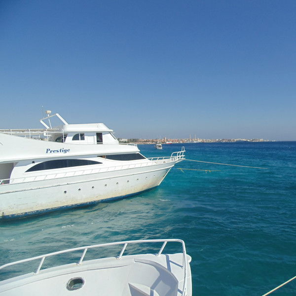 Александра Решетникова