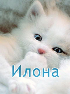 Илона Шепетуха