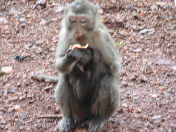 Вася Табуреткин