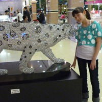 Камиля Басанова