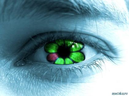 Оксана Плескова