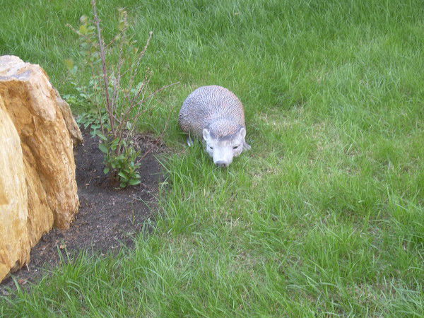 Алексей Назаров